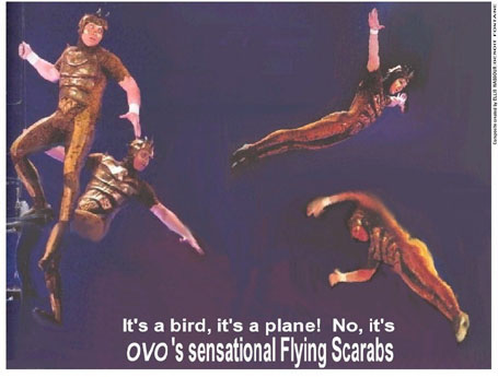 a1OVOFlyingScarabsBFontaine.jpg