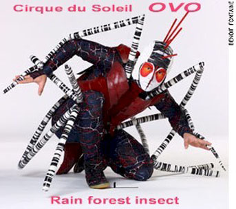 aCdSOVOcostumes.jpg
